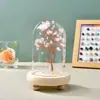 Adornos de Árbol de Cristal Natural Árbol de la Fortuna de Citrino Botella de los Deseos Cubierta de Vidrio Árbol de la Vida Artesanías de Decoración para el Hogar