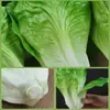 Hojas de Lechuga de Simulación Verdura Falsa Modelo de Frutas y Verduras Decoración Accesorios Adornos de Lechuga Hojas Grandes de Frutas y Verduras