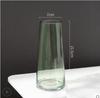 Vaso dourado de fábrica vidro transparente sala de estar decoração de casa ornamentos Nórdico arranjo de flores que levam água dispositivo de flores simples criativo