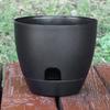 Vasos de Flores de Plástico Autoabsorventes Atacado Novos Vasos para Rabanete Verde Suculentas Vasos Domésticos com Controle de Raízes Vasos Simples para Plantas Vasos para Preguiçosos