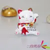 Venta al por mayor de fábrica comestibles japoneses resina estéreo refrigerador imanes 3D linterna Dharma pegatinas creativas para mensajes en stock