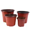 Macetas para Plántulas de Dos Colores Engrosadas, Vasos Nutritivos, Plántulas de Suculentas, Esquejes de Hojas, Macetas Sencillas Desechables de Plástico, Macetas Grandes Rígidas
