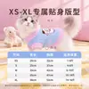 Ropa bordada de gato nueva para otoño e invierno 2026, adecuada para gatos Ragdoll y gatitos, cálida, de dos patas, sin mangas, conjunto de polar, ropa para perros