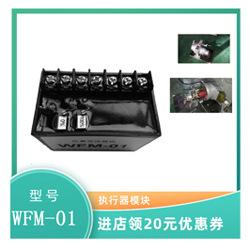 WFM-01