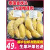Pulpa de Durián Tailandés Golden Pillow Frescamente Descascarada y Congelada, Congelada Rápidamente, Importada, Fruta Madurada en Árbol