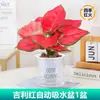 Planta en Maceta Princesa Verde Diamante Dorado Planta de Interior Rábano Verde Planta Verde Hidropónica Suculenta Escritorio de Oficina Flor Fácil de Cuidar para Jardineros Perezosos