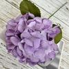 Hortensia de Llama Única Flor Artificial Hortensia de Llama Pared Camino de Plomo Pan Tejido Flor Artificial Decorativa Flor Falsa