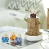 Planta hidropônica de madeira brasileira, madeira da sorte, planta verde de mesa, cultivada em água, planta em vaso mini para interior para escritório, fácil de cuidar