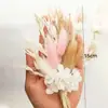 Mini ramo transfronterizo, mini ramo de flores secas, flor eterna, ramo de regalo de aromaterapia, venta al por mayor desde fabricante de Yunnan