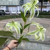 Fabricante de Flores Artificiales para Bodas Verdes Hortensia Verde Rosa Rocío de Golondrina Loto Bola de Cebolla Decoración Suave para Bodas Flor Artificial al por Mayor