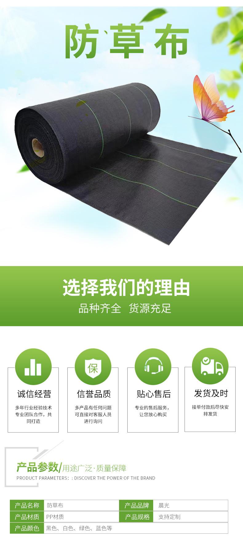 聊城绿色--(11)_02