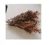 Materiais de flores secas retrô moldura de foto de planta real DIY arte de flor feita à mão arranjo de flores artesanato leques redondos guirlanda