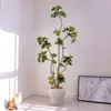 Madera de Pata de Pato Jingpin Haihong Simulación Planta Verde Interior Biónica Maceta Alto Nivel Lujo Ligero Sala de Estar Planta Falsa Grande de Piso