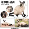 Traje de modelo de gato animal de simulación para niños, juego de gato, gatito, modelo de gatito blanco y negro, juguetes, adornos