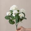 Flor Begônia Amazônica Transfronteiriça Flor Artificial Gerânio Flor Falsa Decoração de Mesa de Jantar para Casa Decoração de Festa de Casamento Celebração de Casamento