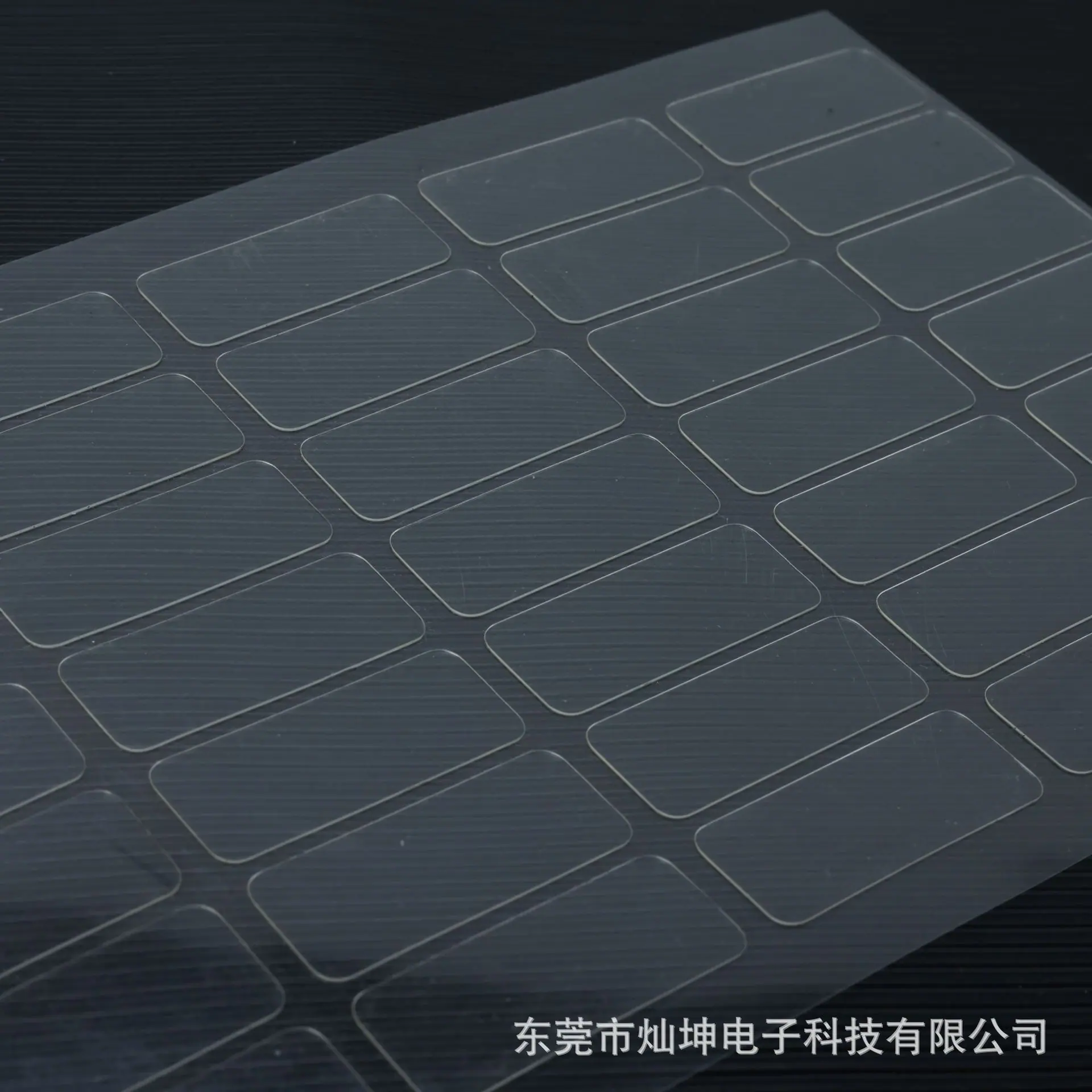 WANG0481-202503195.jpg
