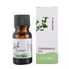 Óleo Essencial de Aromaterapia Solúvel em Água Purificação do Ar do Quarto Aromaterapia sem Fogo Eucalipto Hortelã Ylang Planta Óleo Essencial Atacado
