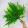 Folhas de Samambaia Flor Preservada, Folhas Naturais de Samambaia Flor Real, Materiais de Flores Secas DIY para Porta-Retratos, Decoração de Vitrine com Flores Prensadas