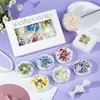 Velas aromáticas con lentejuelas de flores secas transfronterizas, al por mayor, espato aromático, concha, cera de frijol hecha a mano, traje de regalo, adornos