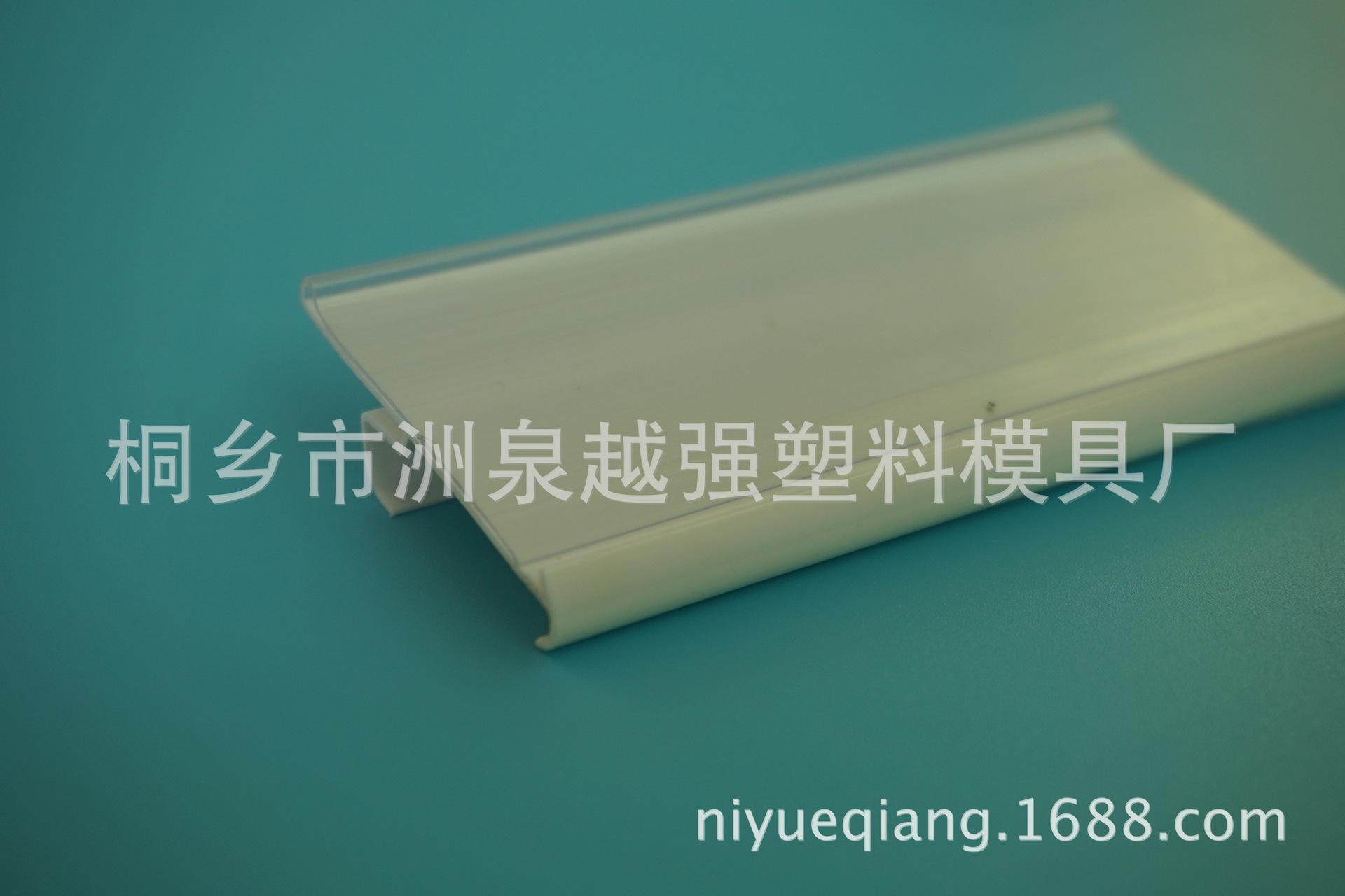 DSC00500