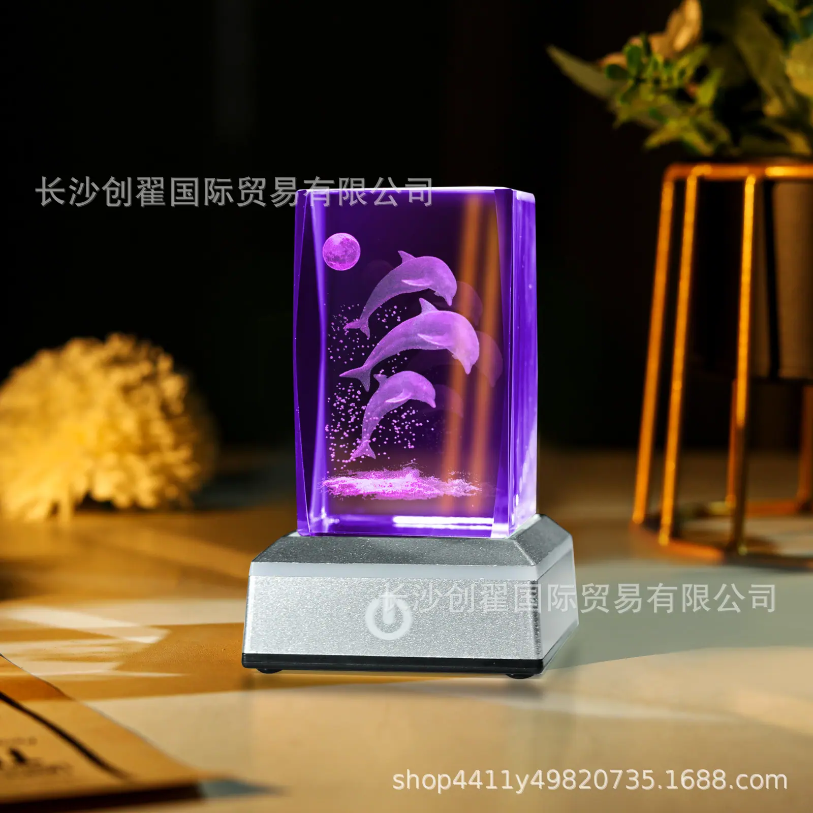 海豚_09.jpg