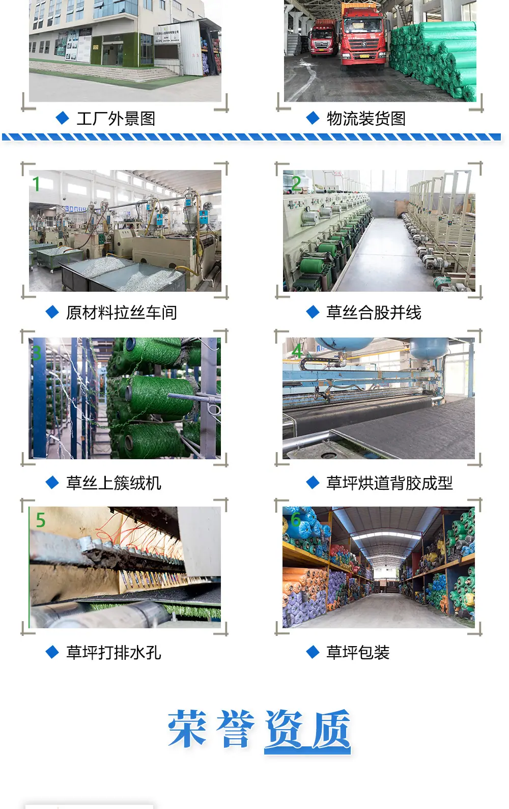 蓝色网球草_07.jpg