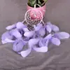 Sansheng III Filtro dos Sonhos Decoração de Parede Decoração de Pena Pingente Pingente Filtro dos Sonhos Presente para Crianças Estudantes