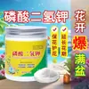 Fertilizante Foliar de Fosfato Monopotássico, Suplemento de Micronutrientes para Culturas, Fertilizante de Fósforo e Potássio para Coloração e Aumento de Frutas, Fertilizante para Trigo e Hortaliças