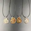 Pingente de concha de fóssil de caracol colar de animal concha marinha pingente de bainha DIY joias transfronteiriças masculinas e femininas