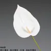 Ventas Directas de Fabricantes de Comercio Exterior: Flores Artificiales Blancas, Flores Falsas Estilo Bosque, Materiales Florales para Bodas, Flores para Decoración de Salón de Bodas