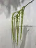 Bosque Escandinavo Verde Planta Verde Hoja Verde Techo de Salón de Bodas Mimosa Plástico Flor Falsa Hierba de Amante Eucalipto