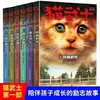 Gatos Guerreros Volúmenes 1-7, 47 Volúmenes de Libros Ilustrados para Estudiantes de Primaria y Secundaria, Juvenil, Literatura Infantil, Novelas de Animales, Libros Infantiles