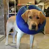 Anel para Cão Coleira para Cão Anel Anti-mordida para Pet Capa de Beleza Inflável Anti-risco para Gato e Cão Anel de Vergonha Anti-lambida Anti-risco para Gato e Cão