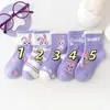 Meias Infantis Femininas para Primavera e Verão Meias de Comprimento Médio Outono e Inverno Estrela Cartoon Algodão Dailou Pequeno, Médio e Grande Meias Infantis Femininas Cartoon com Renda