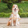 Impermeable para Mascotas Senwan Amazon Perro Grande Transparente Salida Perro Grande Impermeable para Perros Border Collie Ropa para Perros Mayoreo