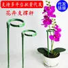 Soporte para Flores Estructura de Soporte para Jardinería de Plantas Varilla de Soporte para Dar Forma a Flores en Exteriores Soporte para Flores Trepadoras Phalaenopsis Soporte Anti-Caída para Flores