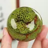 Latas de Chá Seladas com Mudança de Forno Yanshan Beleza Maquiagem Frasco de Pó Perfumado Dividido Mini Pequeno Creme Batom Caixa de Pó Rouge