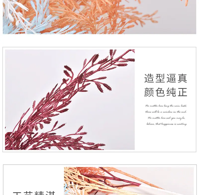 米粒草_09.jpg