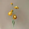 Ramas de Flores Multicolor Tejidas a Mano de Gran Venta Transfronteriza Lana Tejida Narciso Margarita Flores Artificiales Decoración del Hogar Regalos