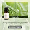 Aceites Esenciales de Aromaterapia Solubles en Aceite de Amazon, Máquina de Aromaterapia de Dos Fluidos, Velas de Uso Único, Aceites Esenciales Compuestos para DIY, Todo en Inglés