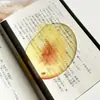 Lindo Marcador de Libros Original de Frutas Sandía Manzana Higo Marcador de Acrílico de Alto Valor Estilo Ins Translúcido Regalo