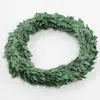 Simulación bricolaje planta verde alambre hoja verde plástico alambre de Navidad corona de ratán vid decoración accesorios al por mayor