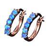 Una generación de AliExpress deseo eBay diamante transfronterizo 925 redondo Auber pendiente