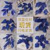 Flores Artificiales Simuladas Azul Oscuro Flores de Seda Flores de Plástico Artificiales Decoraciones de Sala de Estar de Gama Alta Productos Florales Terminados para Bodas