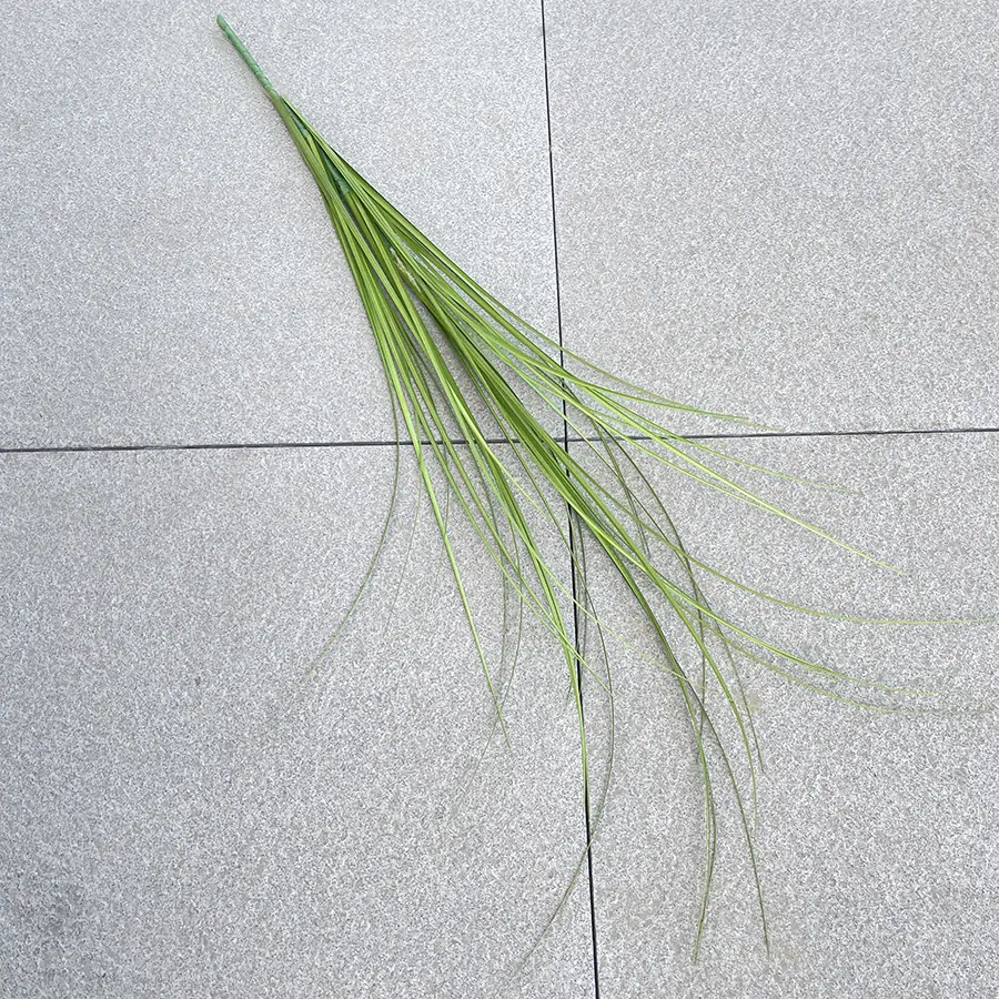 100cm婚庆森系芦苇-wxgzx.JPG