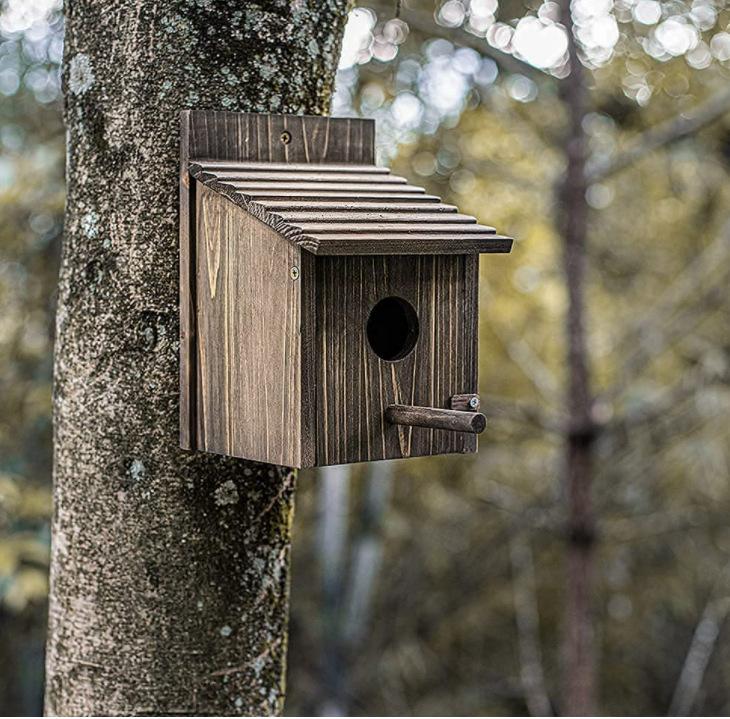 微信图片_202108240635551