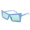 Europa y Estados Unidos nueva moda gafas de sol ojo de gato para mujer retro caja gafas de sol personalizadas moda 660-18249