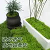 Césped de Musgo Artificial, Musgo Falso Biónico, Césped Artificial, Musgo Verde Falso Eterno, Plantas Verdes para Micro-Paisajismo, Césped Artificial de Seda para Paisajismo