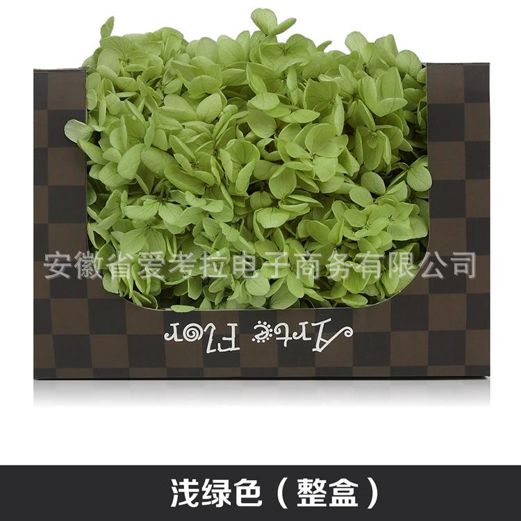 浅绿.jpg