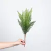Venta al por mayor de plantas verdes ornamentales para paredes, incluyendo helechos, clemátides, helechos silvestres de montaña, bambú negro, tuya, helechos de espárrago y helechos extranjeros